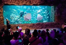 Liburan Seru di Ancol dengan Promo Lebih Hemat