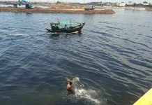 Pendangkalan di Kolam Labuh Cilincing Kian Mengkhawatirkan