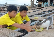 Sudin KPKP Jakut Gelar Vaksinasi Rabies Gratis