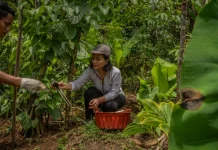 PepsiCo dan National Geographic Danai Riset Pertanian Global