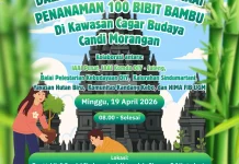 IAAI Tanam 100 Bibit Bambu di Candi Morangan