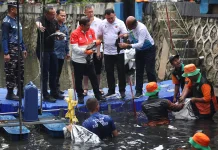 Pemprov DKI Lakukan Penangkapan Ikan Sapu-Sapu, Kendalikan Populasi Ikan Invasif