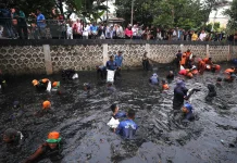 Ini Bahaya Dominasi Invasi Ikan Sapu-Sapu di Jakarta