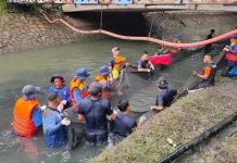 Pemkot Jakbar Beri Insentif Perburuan Ikan Sapu-Sapu: Diajak Rekreasi ke Ancol