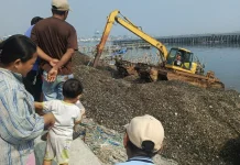 Transformasi Pesisir Kalibaru: Gundukan Kerang Dimanfaatkan Perbaikan Jalan