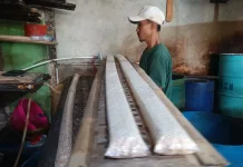 Asa dari Kedelai, Kisah Pengusaha Penerus Pabrik Tempe