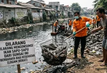 Ikan Sapu-Sapu dari Sungai Kota: Antara Pembersihan Ekosistem dan Ancaman Pangan