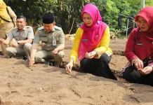 Kepulauan Seribu Gelar Panen Melon dan Tanam Edamame