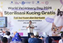 World Veterinary Day 2026, RSHP IPB Gelar Sterilisasi Kucing Gratis