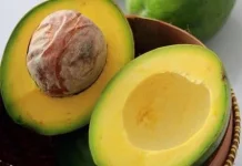 Manfaat Alpukat bagi Tubuh