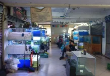 Pedagang Ikan di TPHP Cengkareng Keluhkan Penurunan Omzet hingga 90 Persen