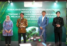 Raja Juli Antoni: Permenhut 6/2026 Buka Ruang Luas Perdagangan Karbon