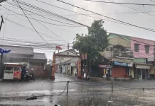 Hujan Deras dan Angin Kencang Terjang Depok, Warga Diimbau Waspada