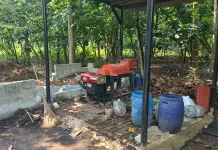 Menilik Potensi Hutan Kota Rawa Malang di Utara Jakarta