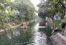 Petugas Gabungan Tangkap Ikan Sapu-Sapu di Kali Cilincing