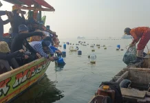 Potret Nelayan Cilincing, Melawan Ombak dan Harga Solar