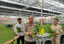 Dukung Program MBG, Polda Metro Jaya Panen Ikan dan Sayuran