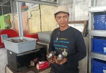 "Tempe Bacem": Inovasi Warga Koja Olah Sampah Organik Jadi Pakan Berkualitas
