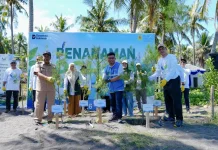 Peringati Hari Keanekaragaman Hayati, PLN EPI Tanam 2.500 Cemara Udang
