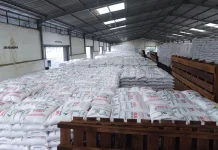Ekspor Urea ke Australia Perkuat Diplomasi dan Ketahanan Pangan Regional