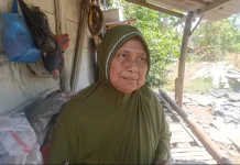Teror Monyet Liar di Marunda: Seorang Balita Alami Luka Serius Mendapat 30 Jahitan