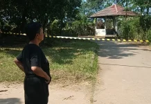 Ngeri! Kesaksian Warga Marunda Soal Serangan Monyet Liar yang Melukai Anak-anak