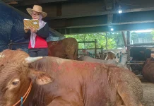Strategi Unik Pedagang Hewan Qurban di Jakarta: Hadirkan SPG Cowboy