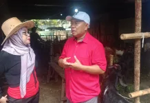 Strategi Jitu Gaet Pembeli: Intip SPG "Cowboy" di Lapak Sapi Kurban Sungai Bambu