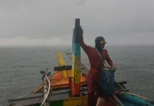 Mengabadikan Kegigihan Nelayan Kerang Hijau Cilincing di Tengah Cuaca Ekstrem
