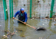Kerja Bakti Rutin Dapat Antisipasi Banjir Jakarta Barat