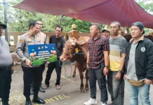 Iduladha 1447 H, Polres Metro Jakpus Bagikan Puluhan Hewan Kurban