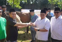 Iduladha 1447 Hijriah, PWNU DKI Serahkan Pemotongan Hewan Kurban pada Dharma Jaya