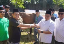 PWNU DKI Potong Hewan Kurban Melalui Dharma Jaya