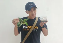 Manisnya Mangrove Marunda: Mengolah Harapan di Tengah Ancaman Abrasi
