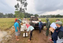 Realisasi Serapan Gabah dan Beras Bulog Capai 3 Juta Ton