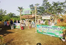 Paud Al Qalam:  Tumbuh Bersama Belajar Bersama