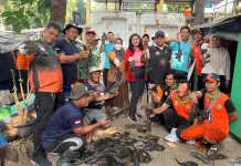 KPKP Jakbar Tangkap 104 Ekor Ikan Sapu-Sapu di Tamansari