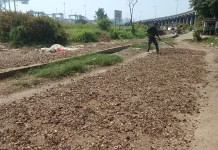 Langka Bahan Baku,  Pengolahan Rebon di Jakarta Utara Berhenti Produksi