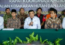 Kapolda hingga Pangdam Pertaruhkan Jabatan Hadapi Karhutla