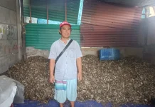 Warga Jakarta Ubah Limbah Tulang Ikan Jadi Rupiah di tengah Pencemaran