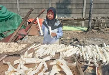 Bisnis Kulit Ikan Cucut Antar IRT Cilincing Raup Omzet Jutaan Rupiah