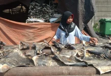 Kulit Ikan yang Mengubah Nasib Keluarga
