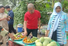 Kolaborasi Warga dan PPSU: Mengubah Lahan "Tidur" yang Gersang Jadi Oase Produktif