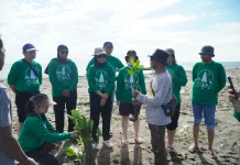 Hari Lingkungan Hidup, Kapal Api Group Tanam 2.500 Mangrove