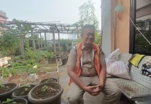 Kelurahan Tangki Sulap Rooftop Gedung Jadi Lahan Pertanian Produktif
