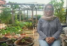 Dari Gudang Jadi Kebun Emas: Kisah Sukses Urban Farming PKK Kelurahan Tangki