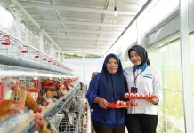 PNM Raih Indonesia Most Trusted Companies, Bukti Patuh Tata Kelola
