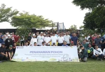 PLN UIP JBB Dorong Budaya Peduli Lingkungan Lewat Program Penanaman Pohon