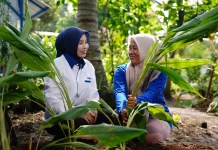 PNM Layani 23,3 Juta Nasabah, Perkuat Pemberdayaan Perempuan Prasejahtera