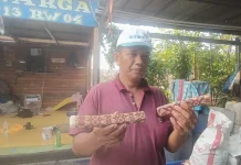 Mengenal Es Kado, Jajanan Klasik yang Masih Eksis